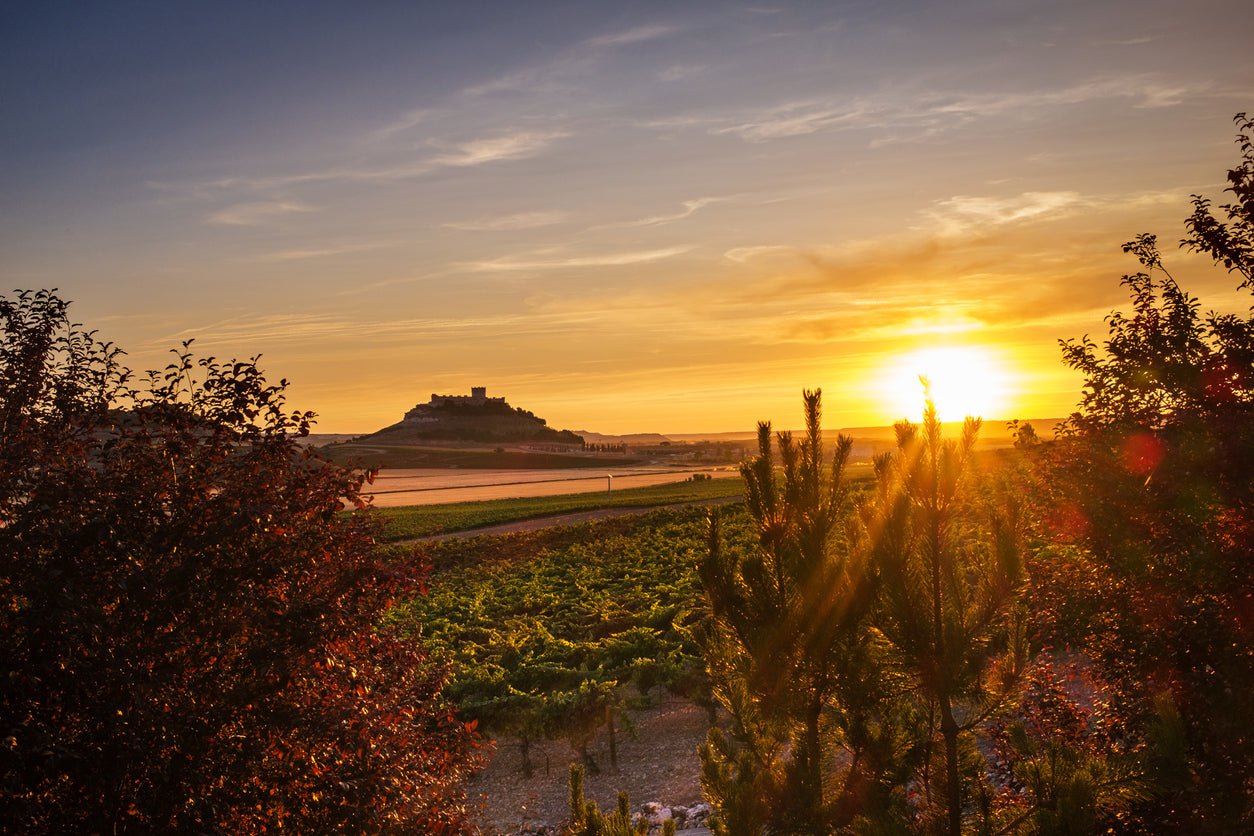 Ribera Del Duero - The Spanish Table