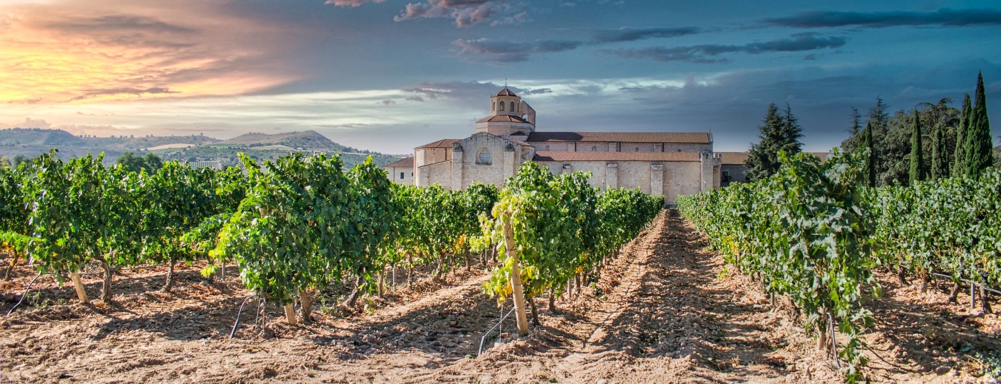 Spanish Wine - The Spanish Table