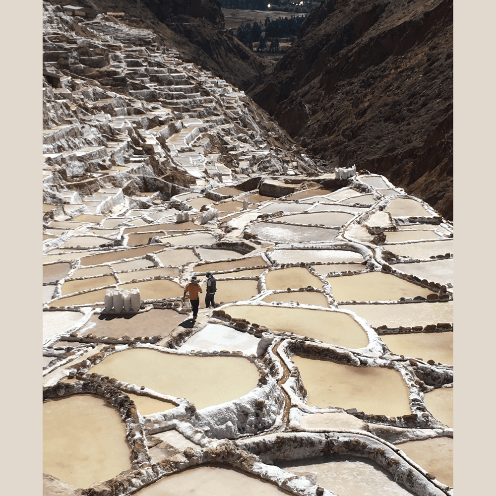 Peruvian Harvest Mackerel Fillets in Botija Purple Olive Sauce, 170gr - The Spanish Table