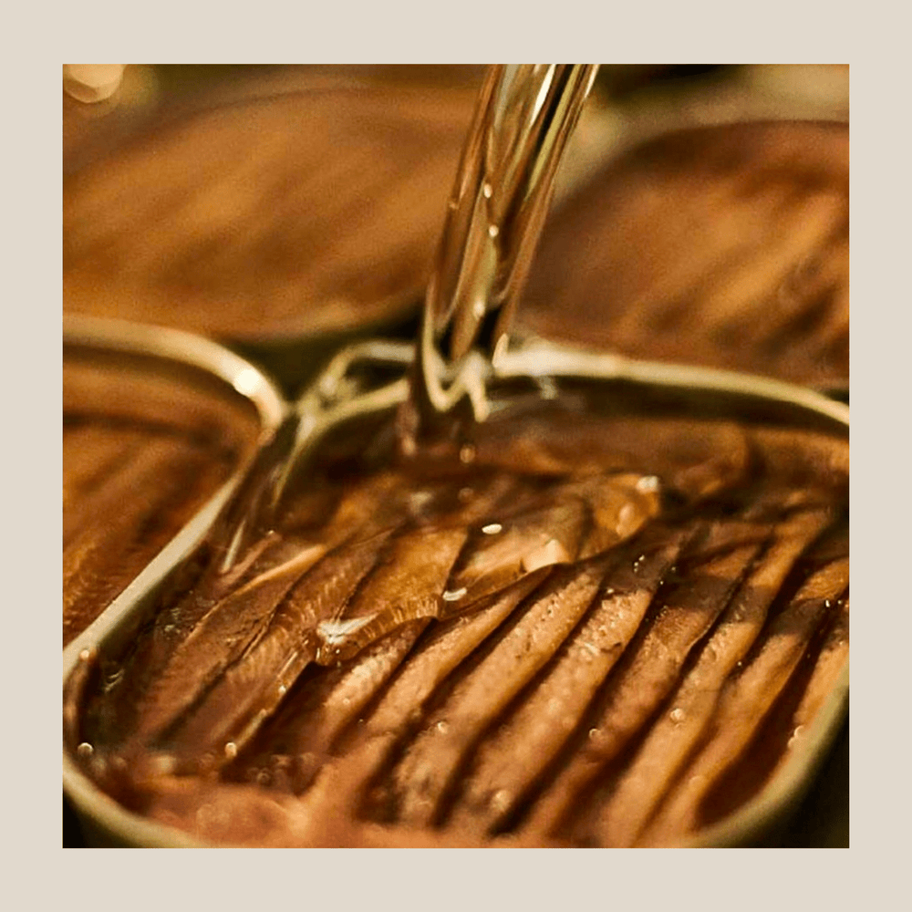 Pujado Solano Cantabrian Anchovies, Seleccion Extra (10 - 12 Fillets) - 120Gr Tin - The Spanish Table