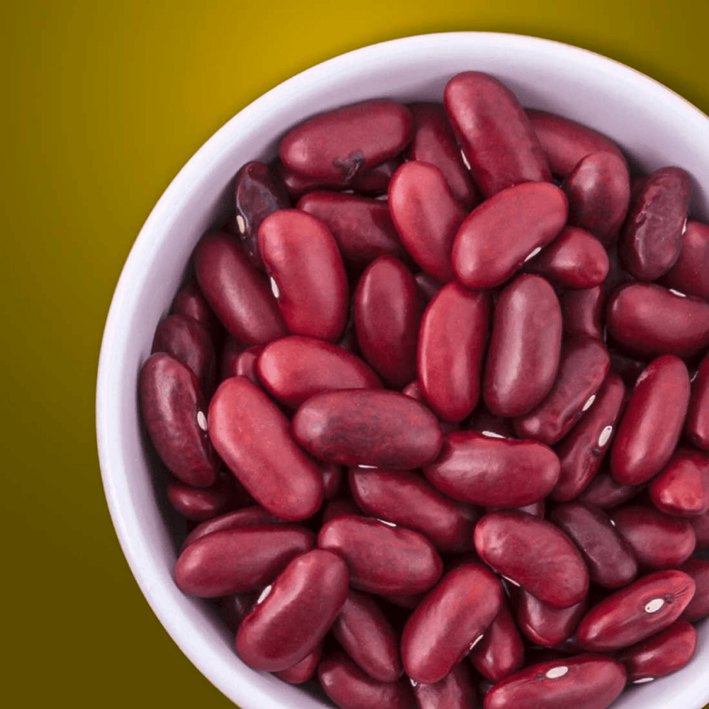 La Catedral Alubia De Tolosa - 1 Kilo/2.2lbs - The Spanish Table