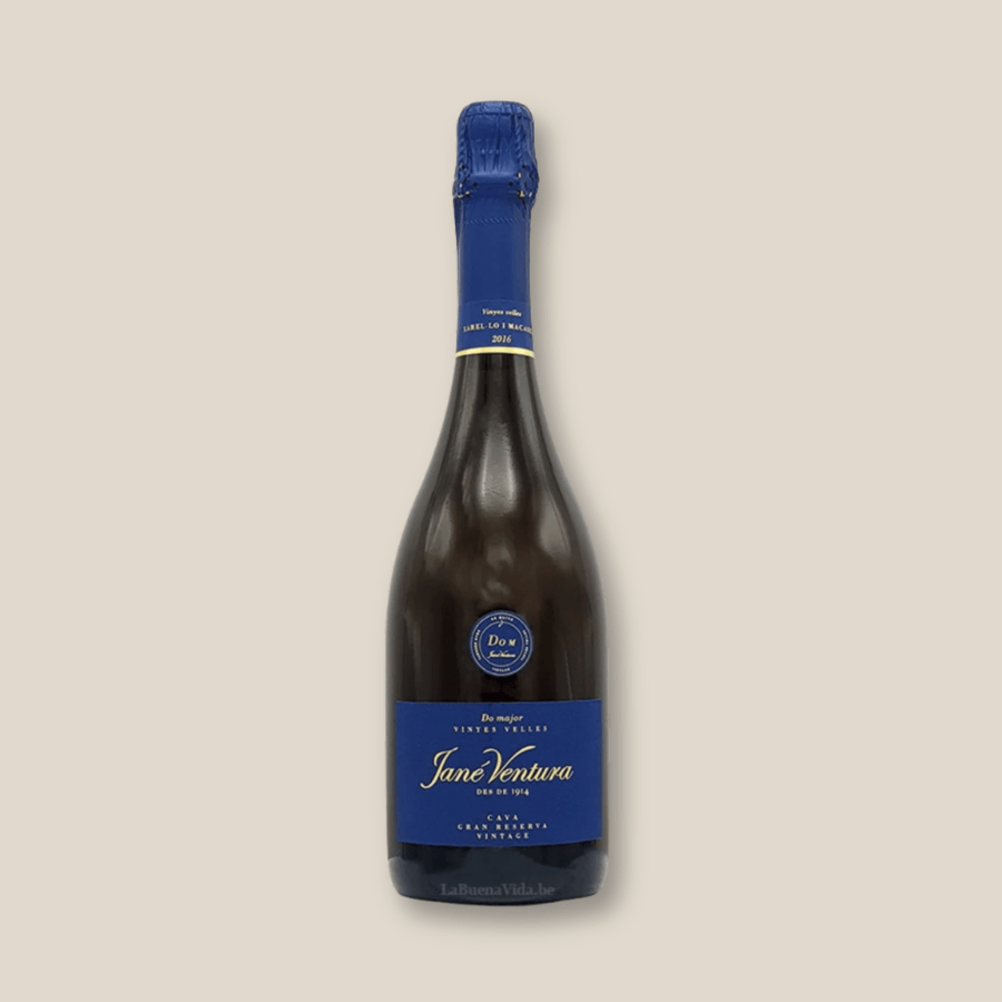 Jané Ventura 2017 Gran Reserva Cava - The Spanish Table