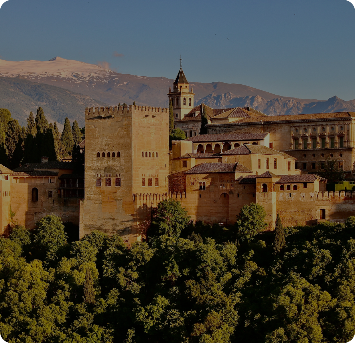 Spanish vineyards