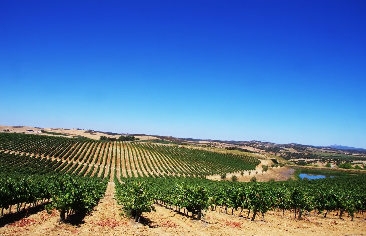 Alentejo - The Spanish Table