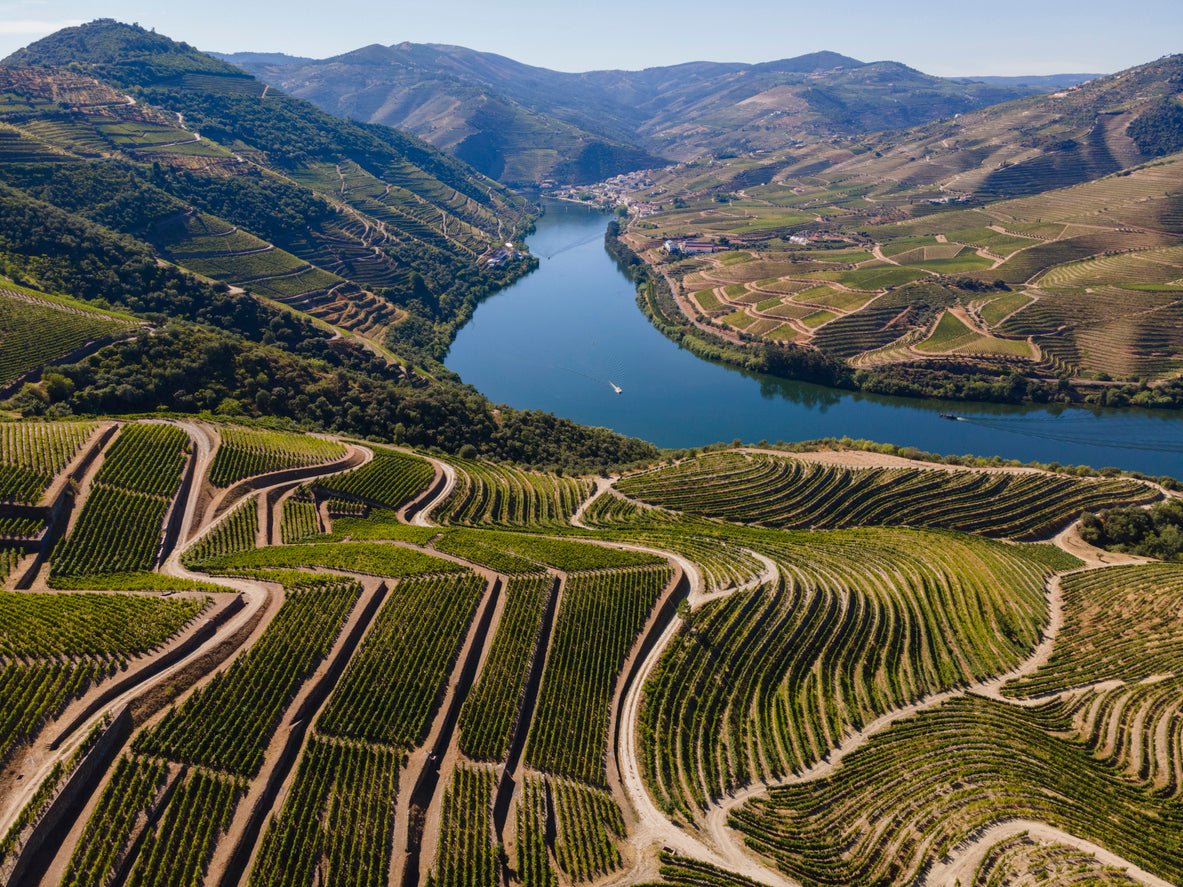 Douro - The Spanish Table