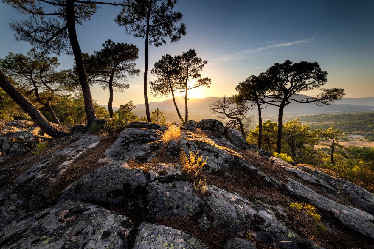 Sierra De Gredos - The Spanish Table