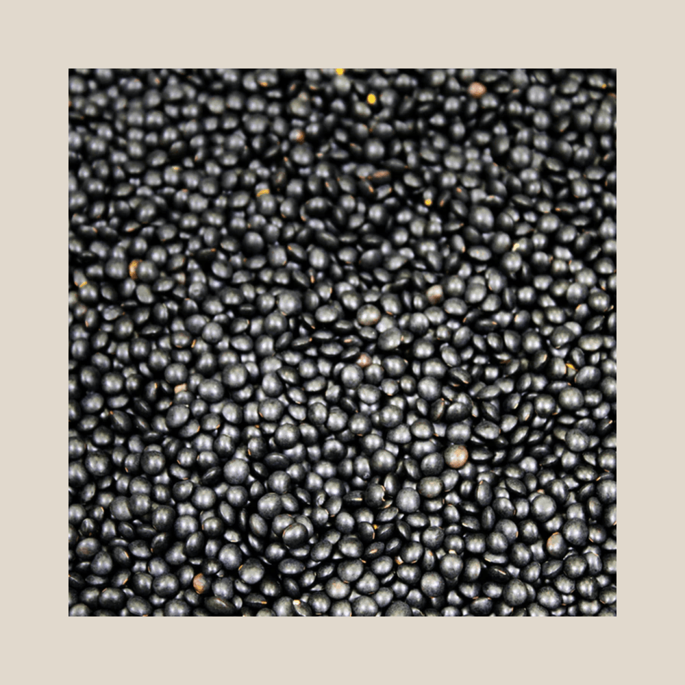 Timeless Organic Black Beluga Lentils, 1 Lb - The Spanish Table