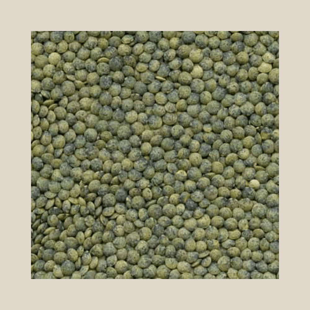 Timeless Organic French Style Green (De Puy) Lentils, 1 Lb - The Spanish Table
