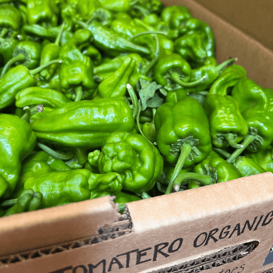 Padron 0.5 lb Peppers (0.5 lb) - The Spanish Table