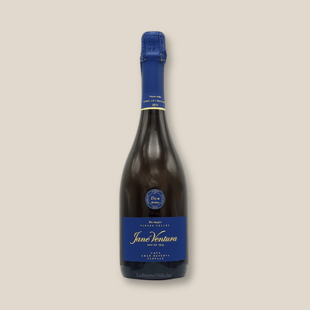 Jané Ventura 2017 Gran Reserva Cava - The Spanish Table