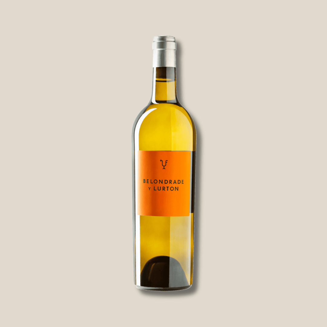 Belondrade Y Lurton 2021 Verdejo Rueda - The Spanish Table