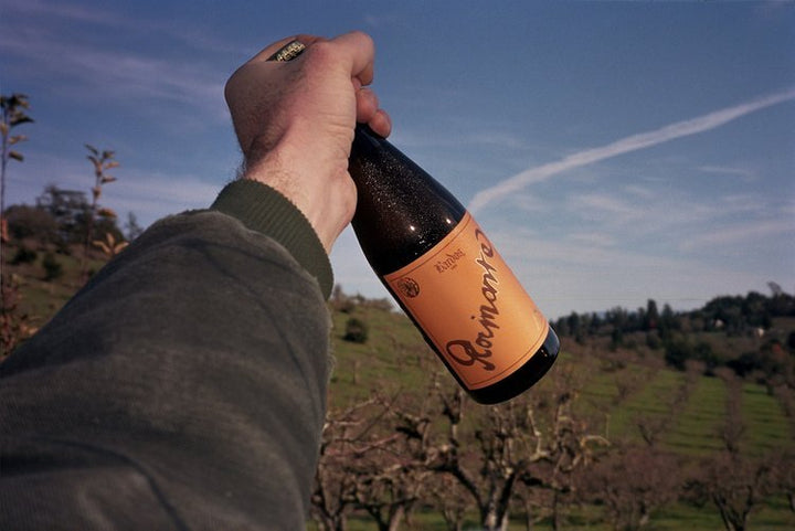 Bardos Rocinante Sonoma County Spanish Style Cider - The Spanish Table